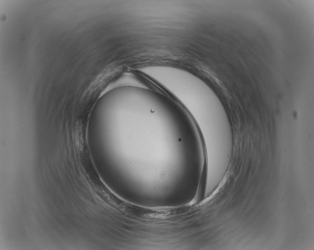 X0000067500170200604101239