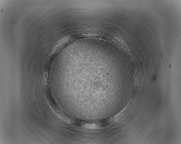 X0000067500171200604101239