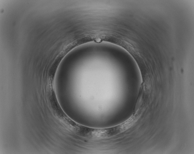 X0000067500172200604101239