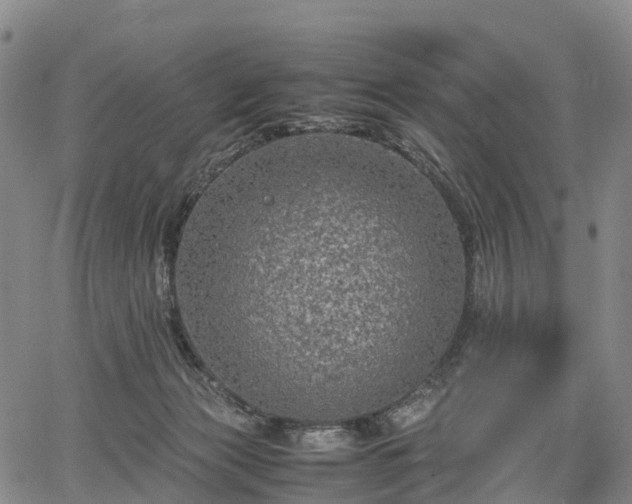 X0000067500173200604101239