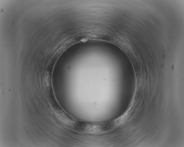 X0000067500174200604101239