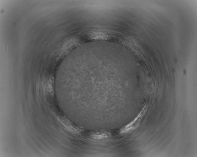 X0000067500175200604101239