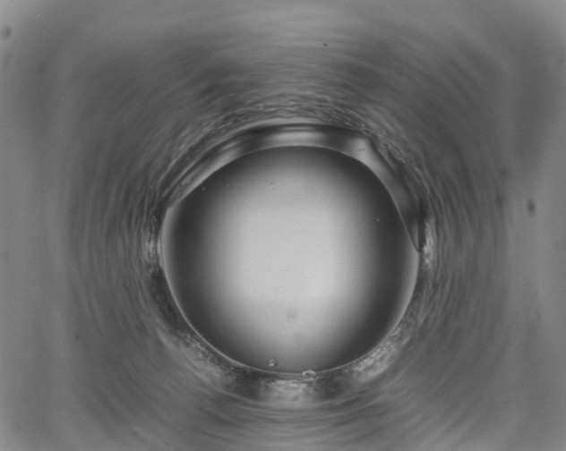 X0000067500176200604101239