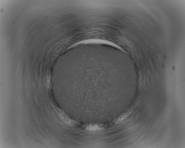 X0000067500177200604101239