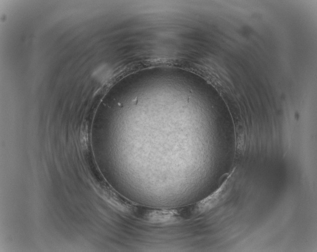 X0000067500179200604101240