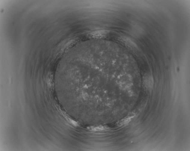 X0000067500181200604101240