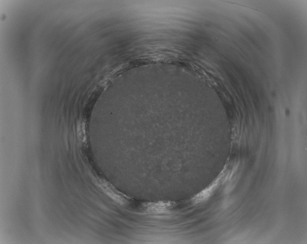 X0000067500182200604101240