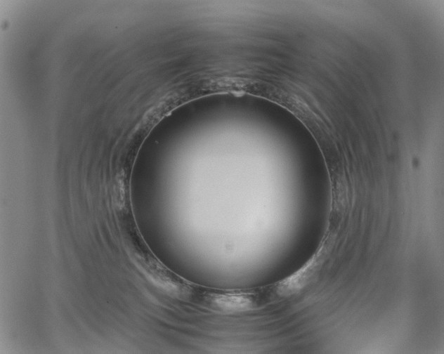 X0000067500183200604101240