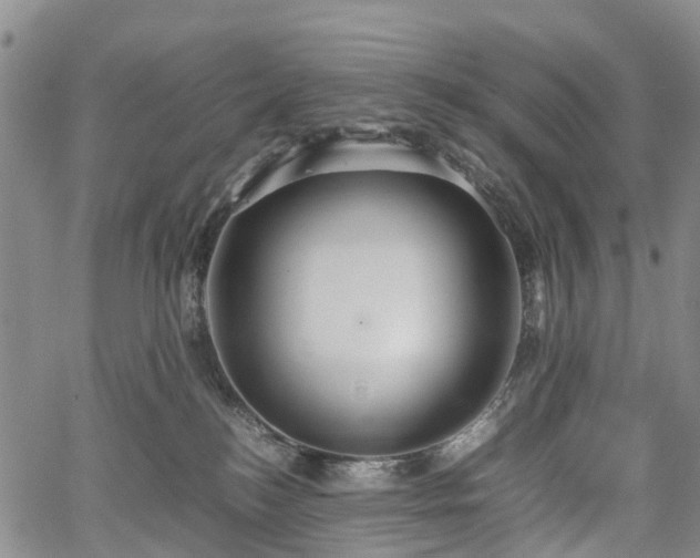 X0000067500184200604101240