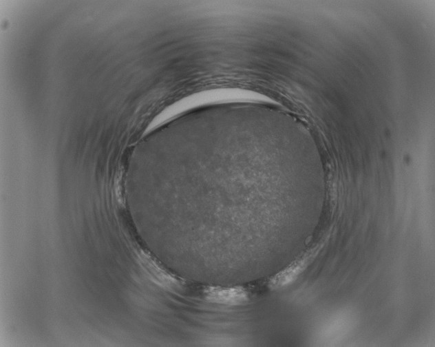 X0000067500185200604101240