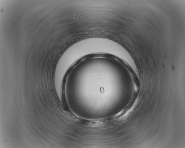 X0000067500186200604101240