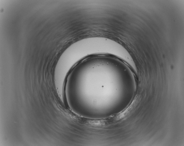 X0000067500187200604101240