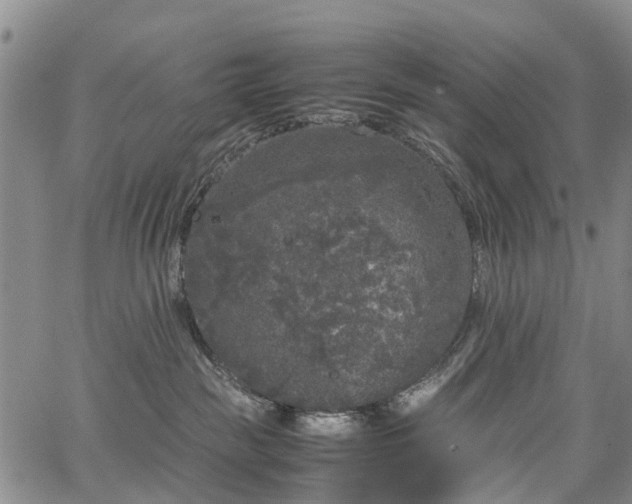 X0000067500189200604101240