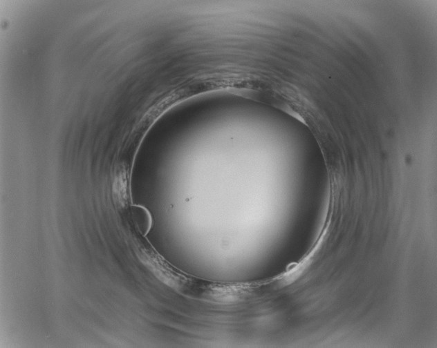 X0000067500190200604101240