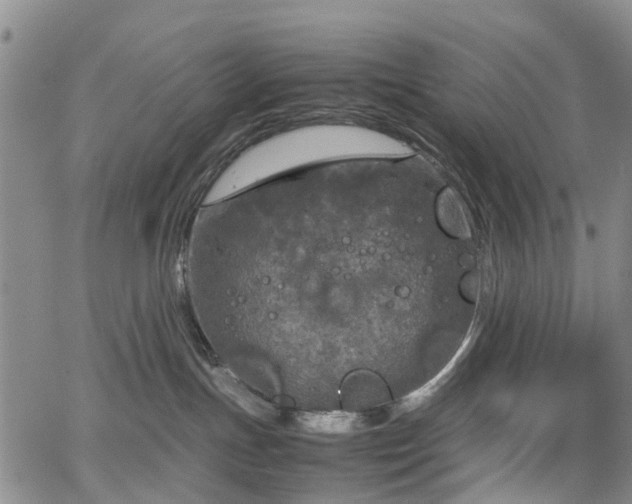 X0000067500191200604101240