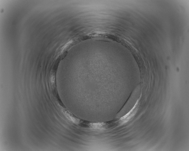 X0000067500192200604101240