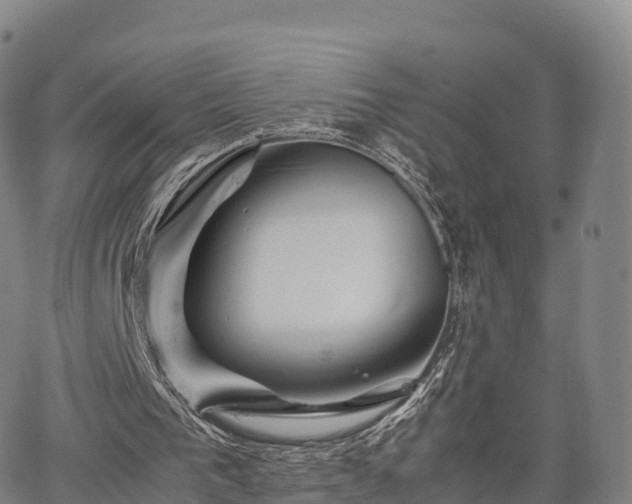 X0000067500193200604101239