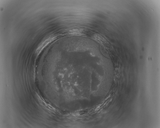 X0000067500194200604101239