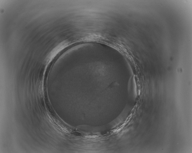 X0000067500196200604101239