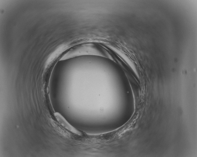 X0000067500197200604101239