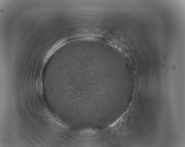 X0000067500198200604101239