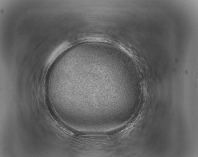 X0000067500199200604101239