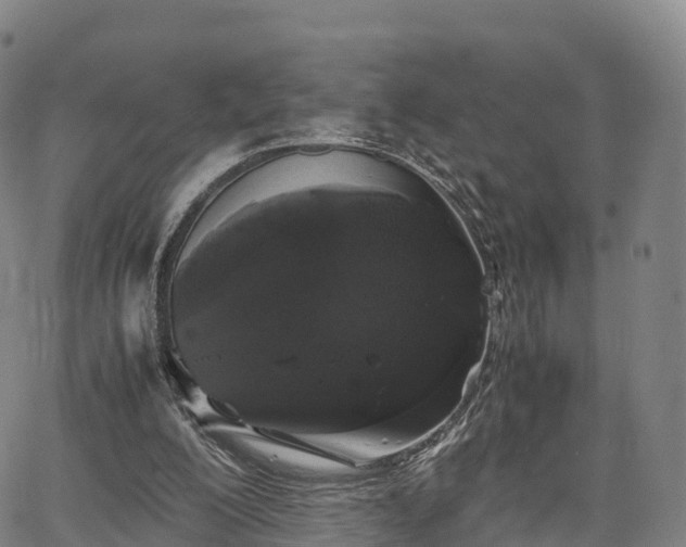 X0000067500200200604101239