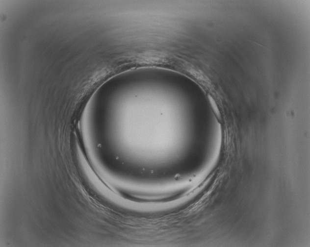 X0000067500201200604101239