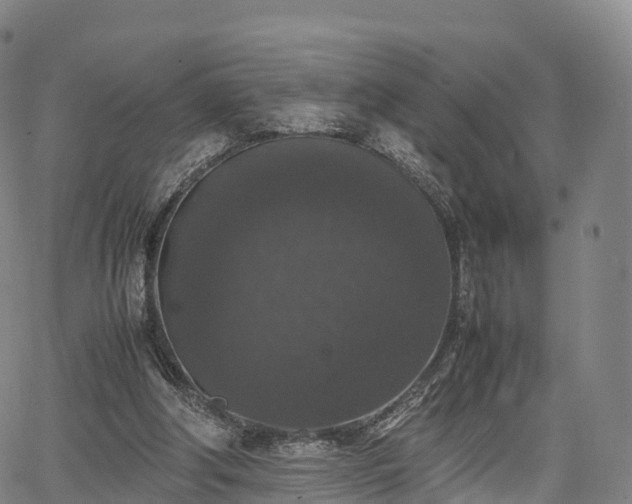 X0000067500202200604101239