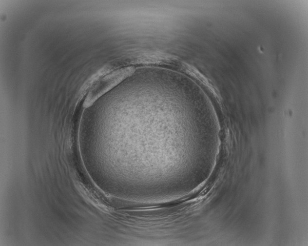 X0000067500203200604101239