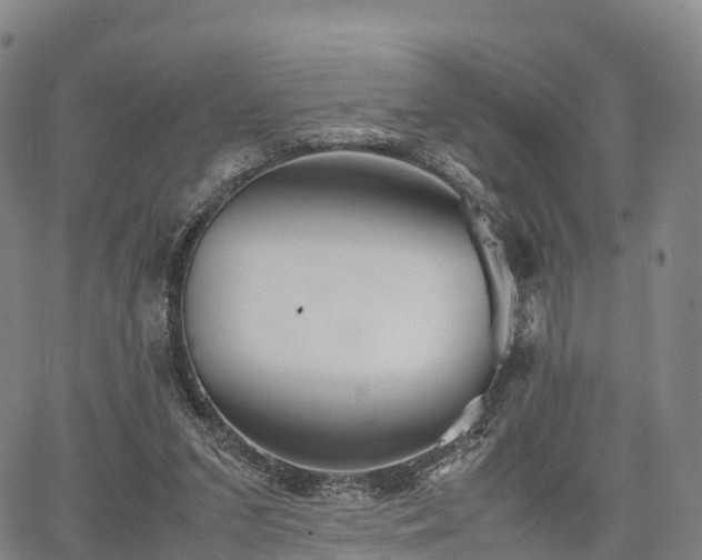 X0000067500207200604101239