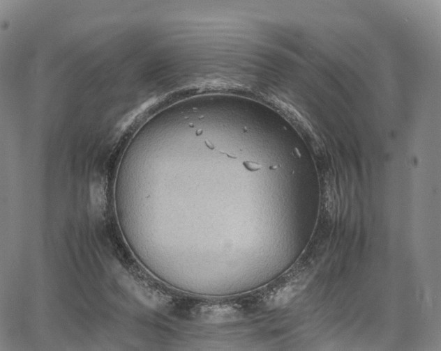 X0000067500208200604101239