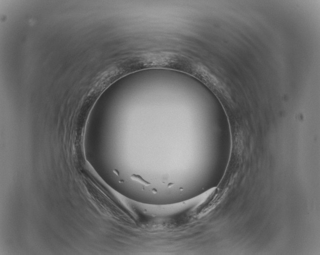 X0000067500209200604101239