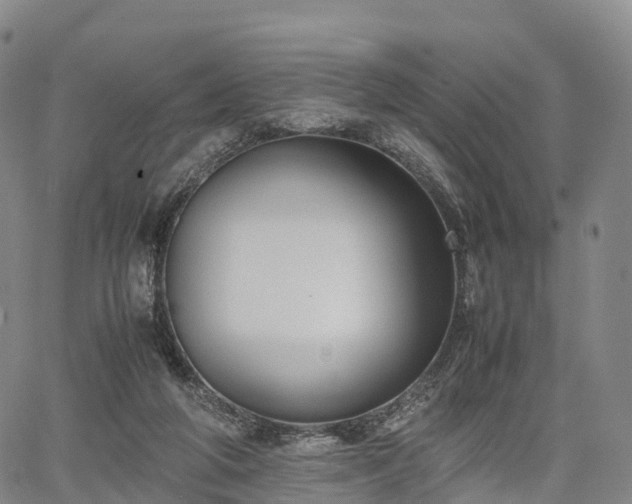 X0000067500210200604101239