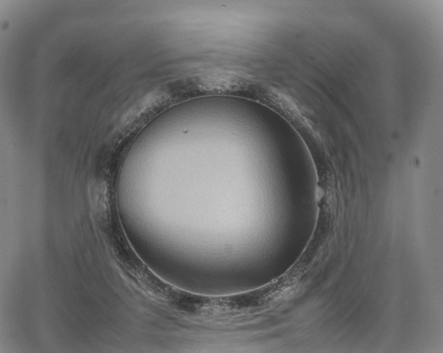 X0000067500211200604101239