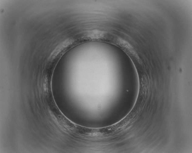 X0000067500212200604101239