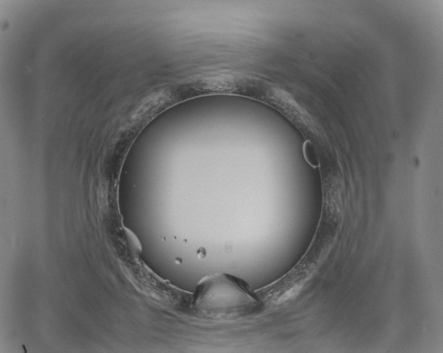 X0000067500213200604101239