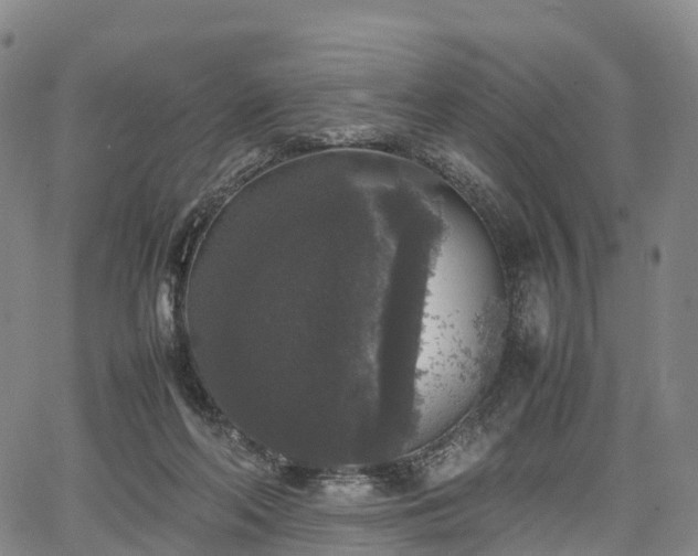 X0000067500214200604101239