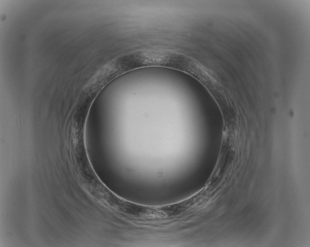 X0000067500215200604101239