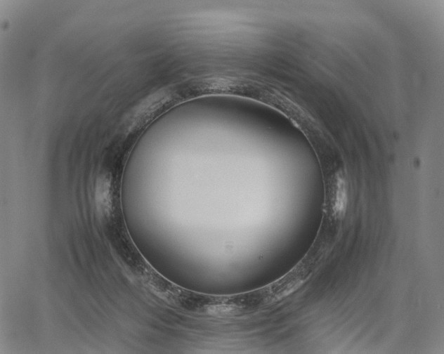 X0000067500216200604101239