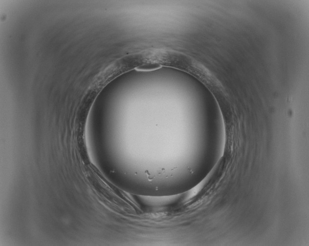 X0000067500217200604101239