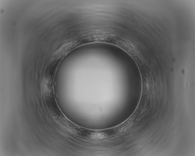 X0000067500218200604101239