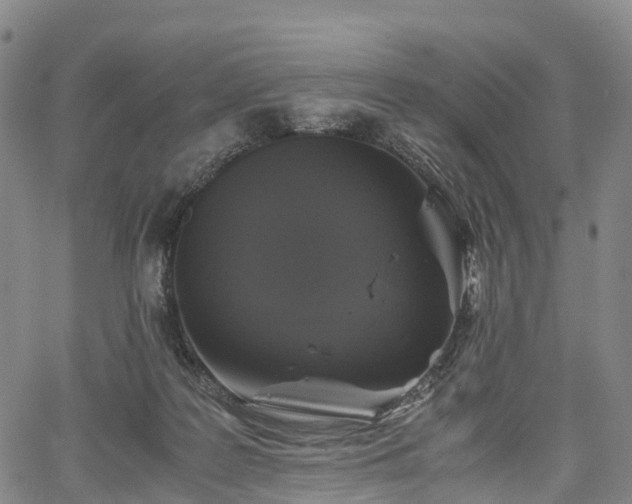 X0000067500219200604101239