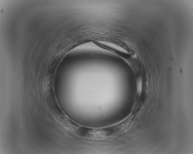 X0000067500221200604101238