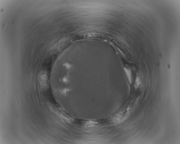 X0000067500222200604101238