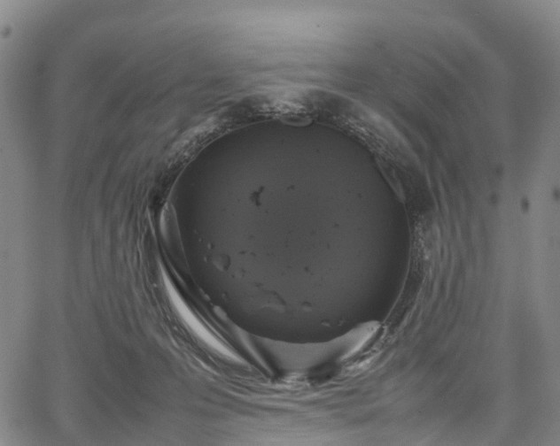 X0000067500223200604101238