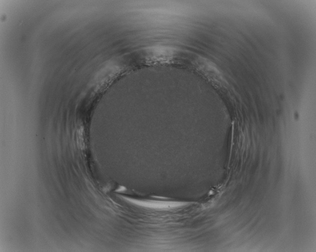 X0000067500224200604101238