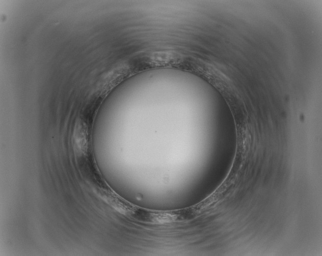 X0000067500226200604101238