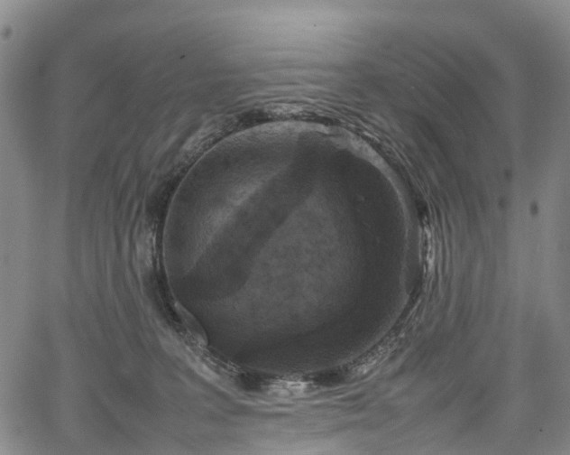 X0000067500227200604101238