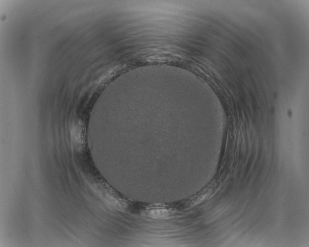 X0000067500228200604101238